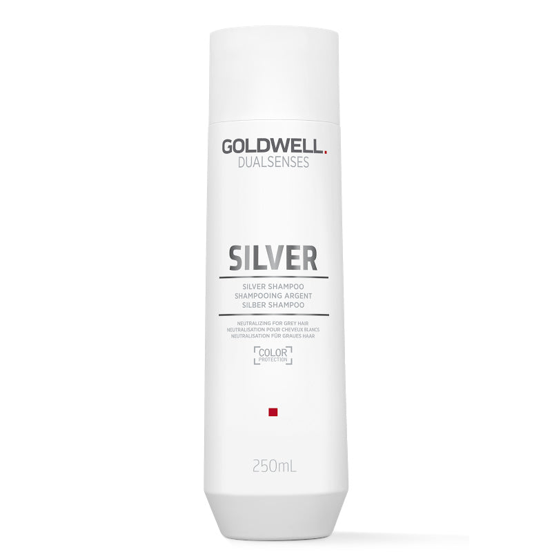Goldwell Dualsenses Silver Shampoo 250ml – Anti-Yellow Blonde & Grey Hair Care